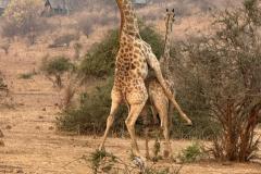 4d55ec59-e4f6-472f-9f5d-4e1f3e473ed6