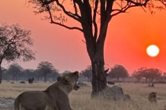 6ae7e40d-33d8-4a91-b91e-88f2da07047d