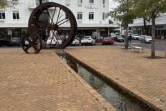 IMG_3523