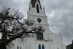 IMG_3525