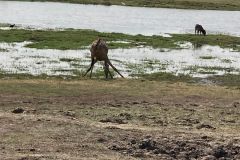 e22f7765-5da8-4de4-b3c3-70d9963d3a9b