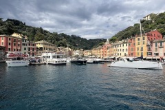 IMG_3667