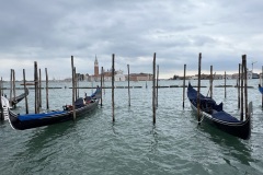 IMG_4431