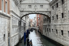 IMG_4458