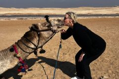 93f887ca-d9a2-477a-afed-ce4ace2f5fde