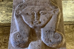 IMG_6358